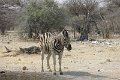 IMG_0030
