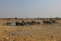 IMG_0076
