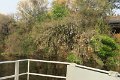IMG_0246