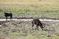 IMG_0323
