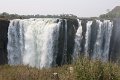 IMG_0503