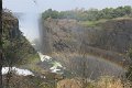 IMG_0548