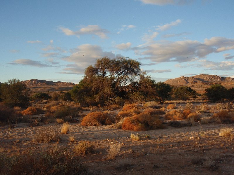 P2260342.JPG