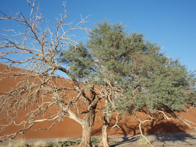 P2280449.JPG