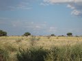 IMG_6971