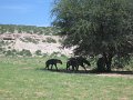 IMG_7064
