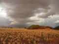 IMG_7284