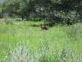 IMG_7681