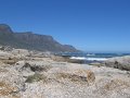 IMG_7870