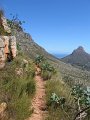 IMG_7921