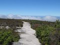 IMG_7950