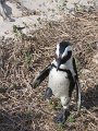 IMG_8083