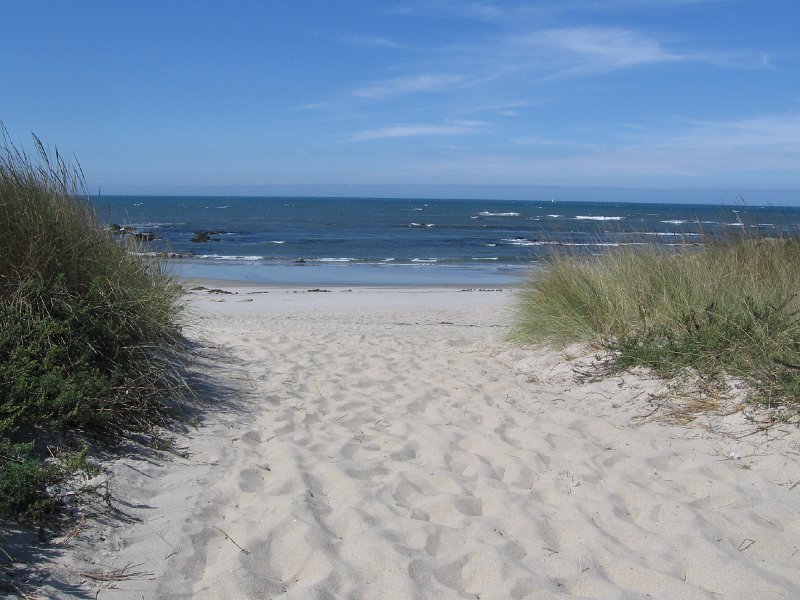 IMG_6470.JPG