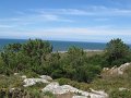 IMG_6467