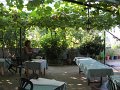 IMG_6521
