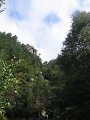 IMG_6532