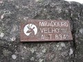IMG_6540