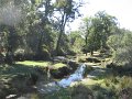 IMG_6573