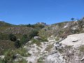 IMG_6587