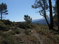 IMG_6590
