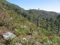 IMG_6596