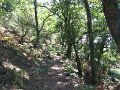 IMG_6597