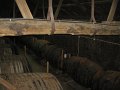 IMG_6710