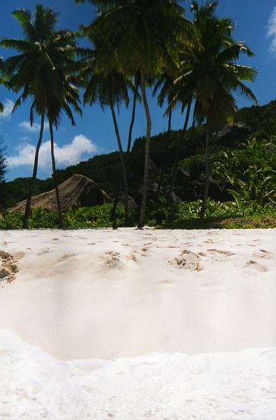 bild033.JPG
