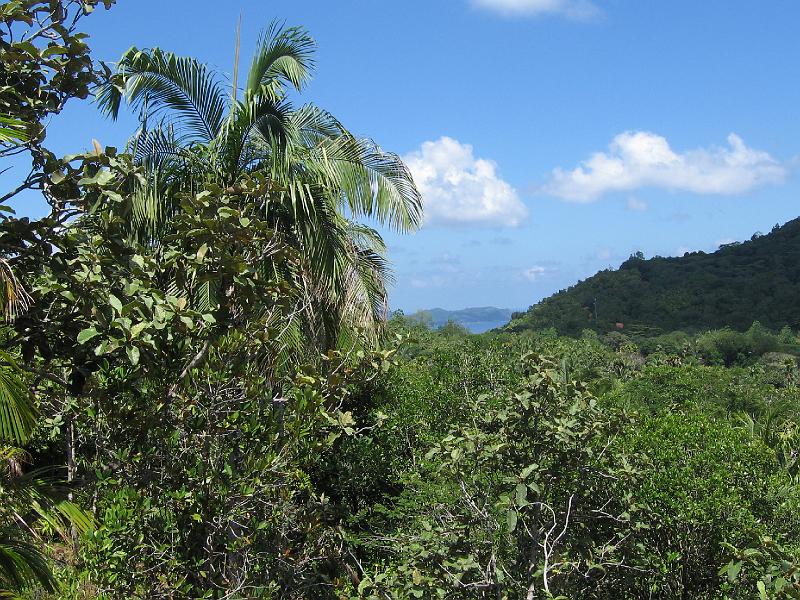Sey0830.JPG