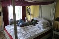 IMG_0001