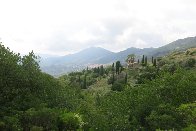 ToskanaElba338.jpg -                                