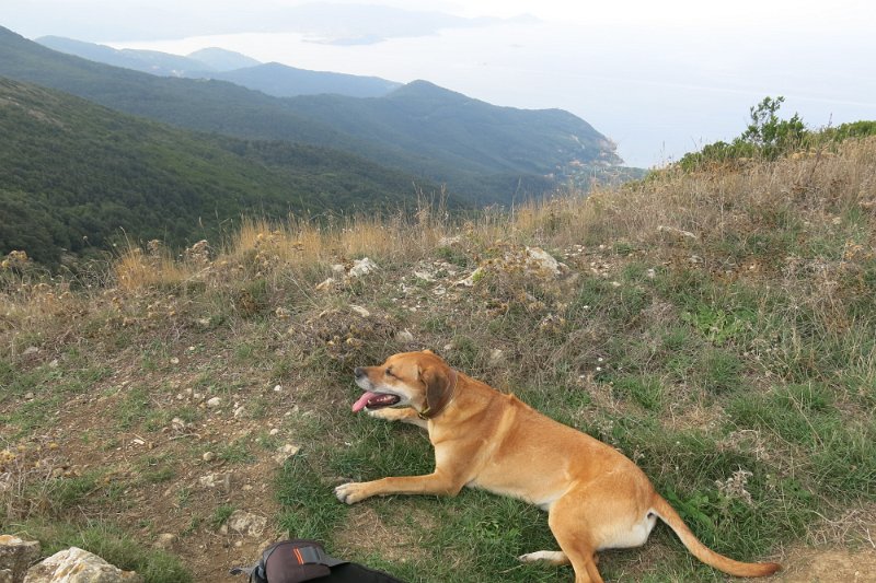 ToskanaElba343.jpg -                                