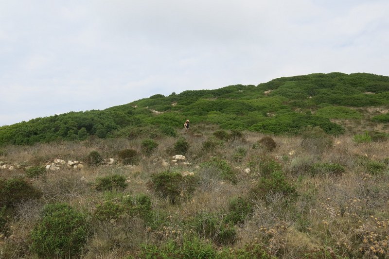 ToskanaElba344.jpg -                                