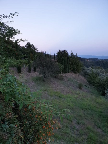 ToskanaElba38.jpg