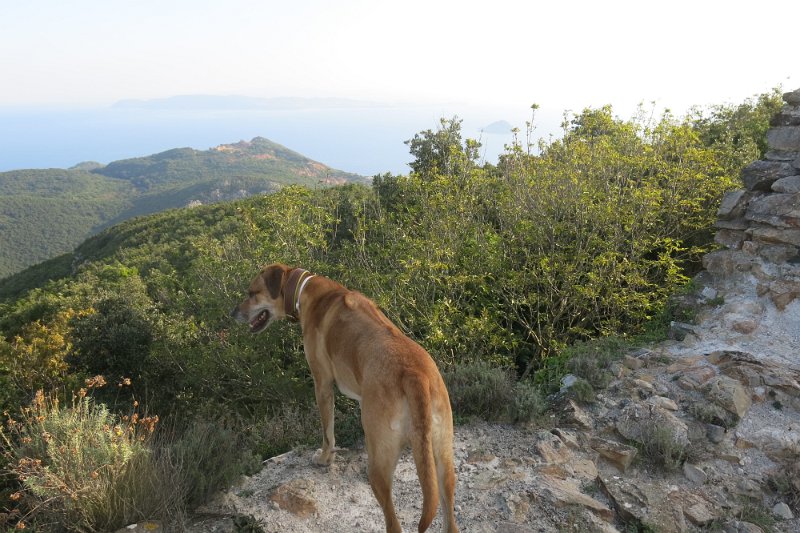 ToskanaElba430.jpg -                                