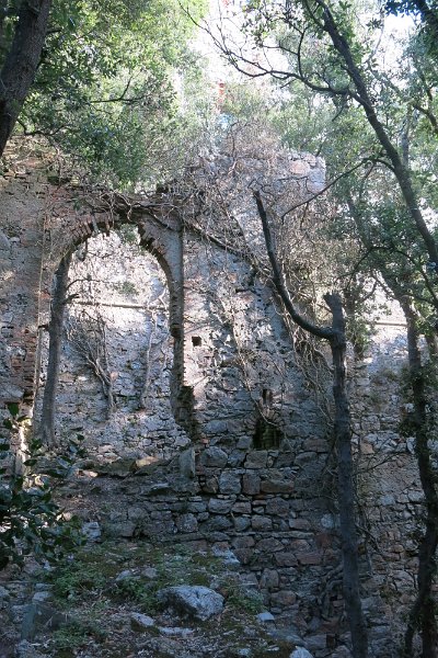 ToskanaElba436.jpg -                                