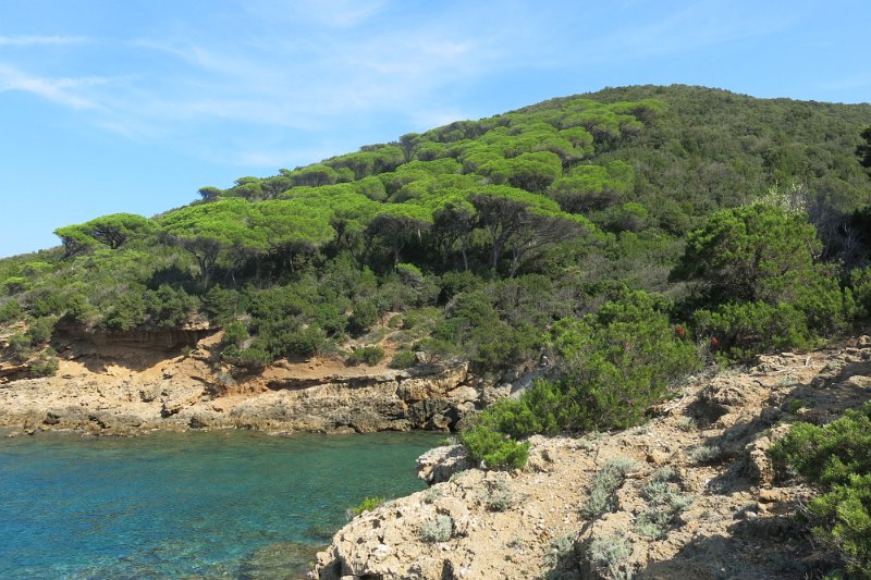ToskanaElba447.jpg -                                