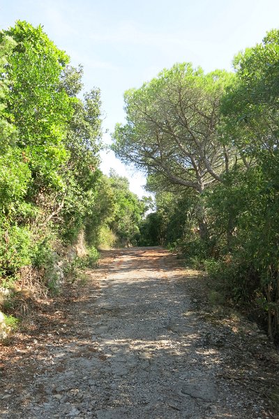 ToskanaElba482.jpg -                                