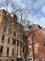 IMG_3284