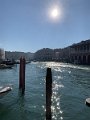 IMG_3294